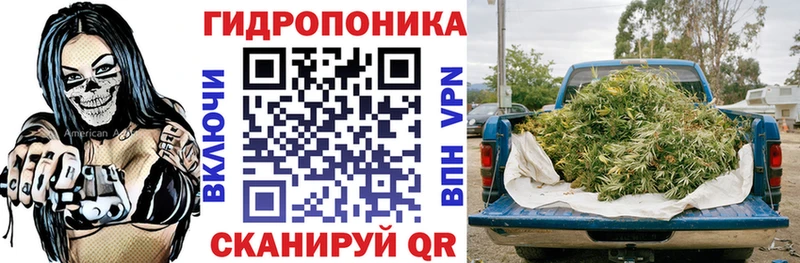 Канабис сатива  наркотики  Иланский 